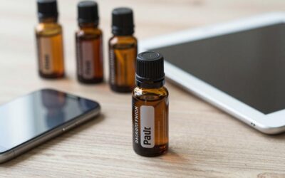 Best Aromatherapy Oils in 2026: Top Picks Compared