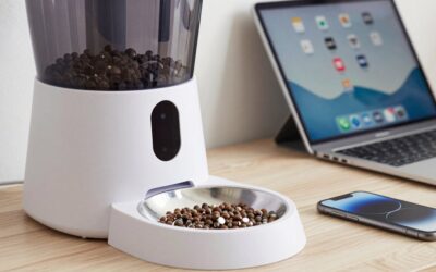 Best Automatic Cat Feeders for Portion Control