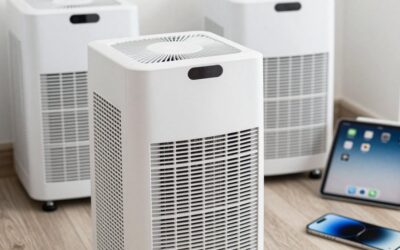 Best Dehumidifiers for Crawl Spaces: Size & Drain Tips