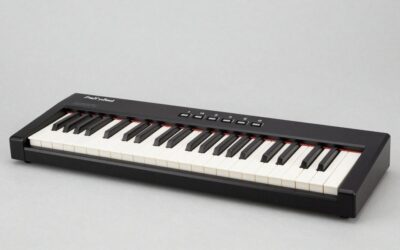 Best Melodicas for Beginners and Pros to Play & Learn
